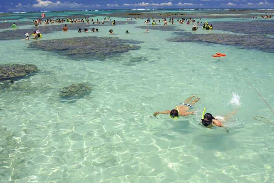 Maragogi Beach and Gales Reef Full-Day Tour from Maceio - From Maceio Pickup To The Drive North: Timing And Comfort