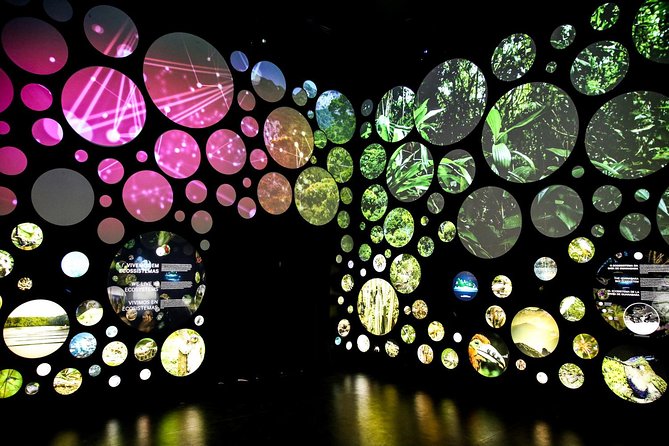 Museum of Tomorrow Guided Tour, Admission & Transfer - Getting there from Copacabana, and how the pickup affects your time