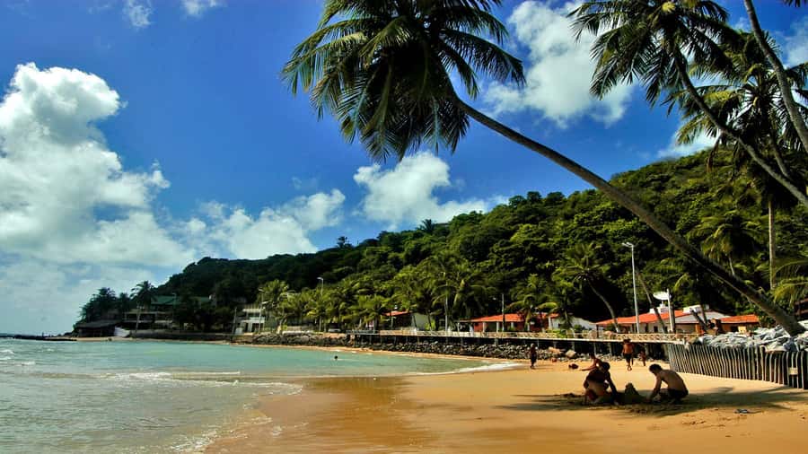 Natal: South Coast Day Tour by 4X4 with Pickup - Key highlights worth your attention