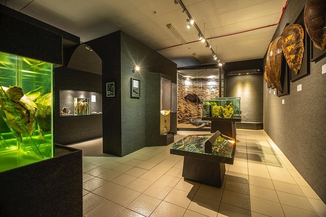 Official Ticket: Oceanographic Museum Univali - Piçarras - SC - Key highlights before you go