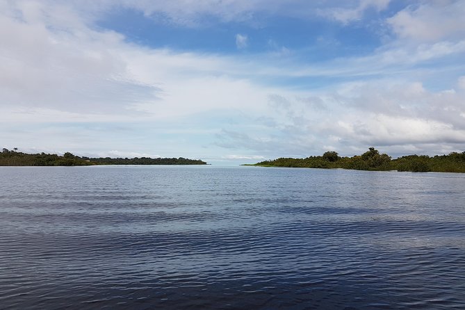 One Night Adventure in the Jungle - Getting from Manaus to the Remote Lodge, Without the Headache