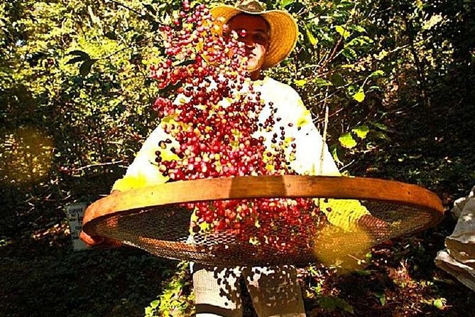 Original Historic Coffee Farm Guided Tour with Transfer - Life inside the farmhouse: antiques and plantation-era context