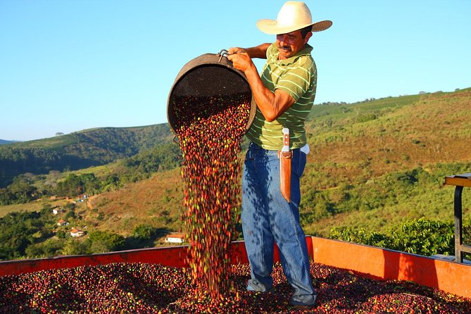Original Historic Coffee Farm Guided Tour with Transfer - Getting there from Copacabana: time, traffic, and where the day starts