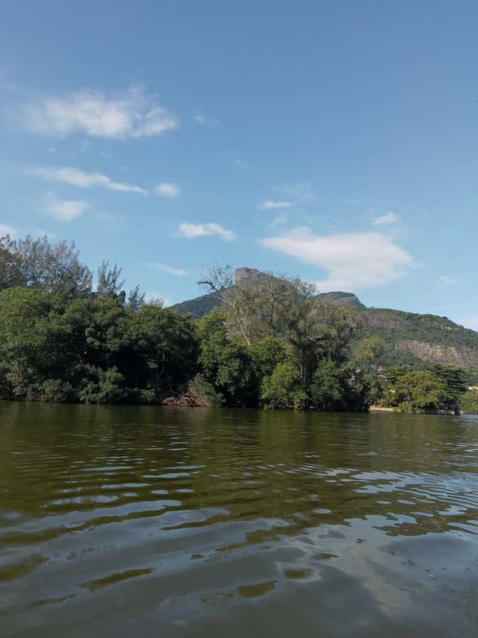 Pantanal of Rio de Janeiro - Why the Rio Pantanal theme feels real, not gimmicky