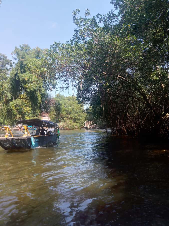 Pantanal of Rio de Janeiro - Getting there: Jardim Oceânico meeting point and boat-day timing