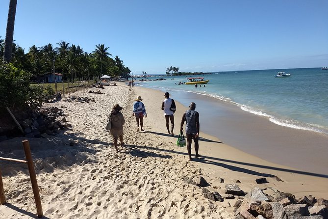 Paradise Morro de São Paulo Island Tour from Salvador - Ferry, Then Itaparica, Then Speedboat: Why the Route Takes Time