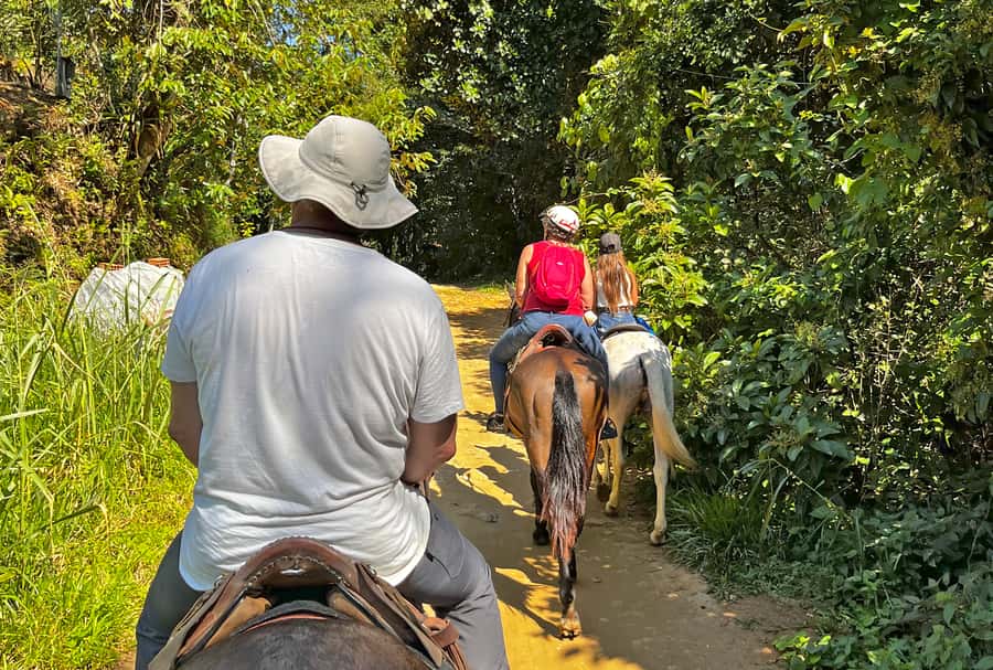 Paraty: 3-Hour Rainforest Horseback Ride - Key things to know before you ride