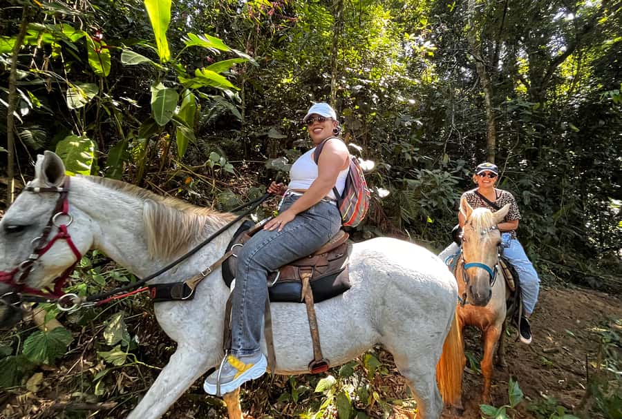 Paraty: 3-Hour Rainforest Horseback Ride - Serra da Bocaina National Park: Atlantic Forest riding on four legs