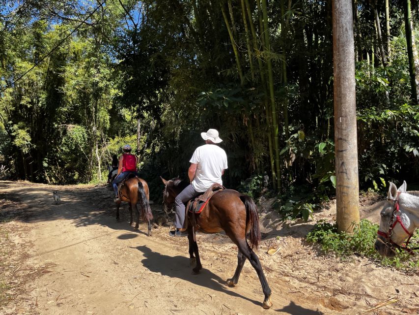 Paraty: 3-Hour Rainforest Horseback Ride - Waterfall stops for bathing, plus lookout time over Paraty Bay
