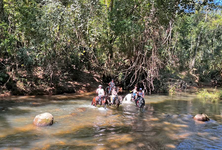 Paraty: 3-Hour Rainforest Horseback Ride - Price of $120: is it good value for what you get?