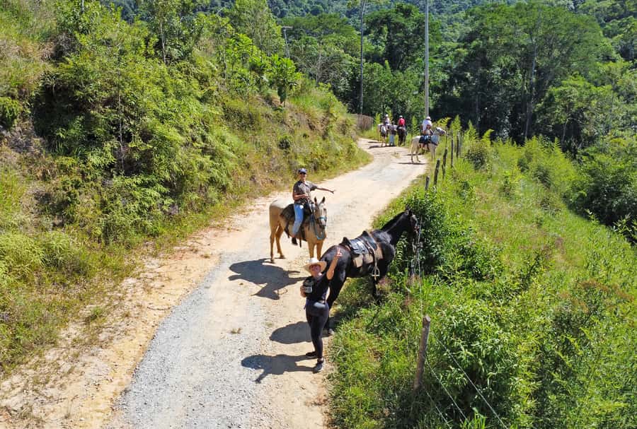 Paraty: 3-Hour Rainforest Horseback Ride - What to bring for a comfortable ride (and fewer regrets)