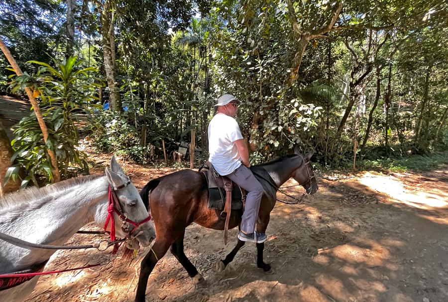 Paraty: 3-Hour Rainforest Horseback Ride - Group size, timing, and how the ride feels in real life
