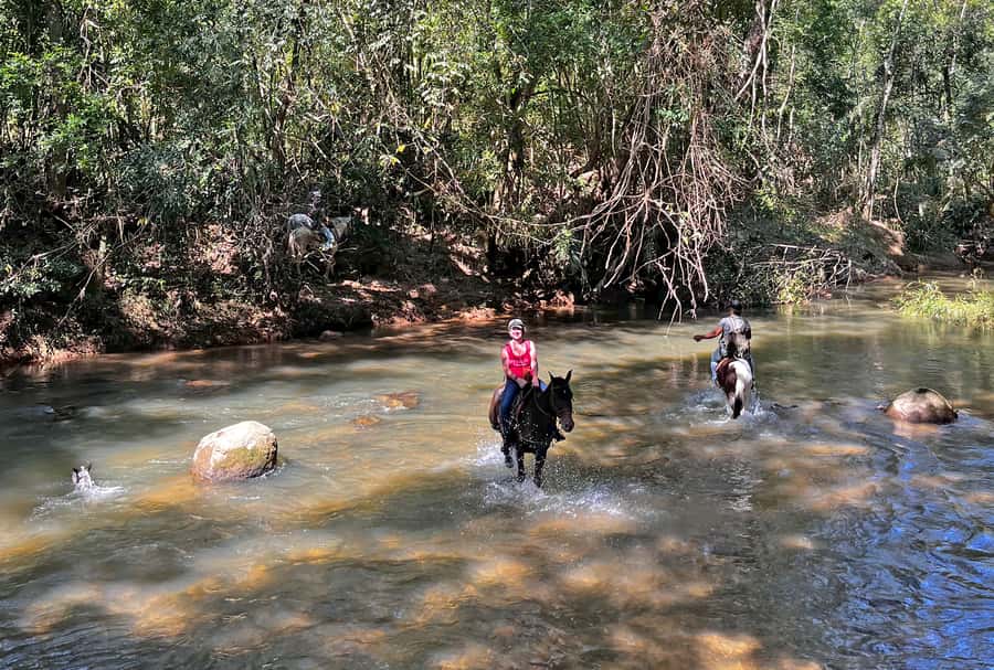 Paraty: 3-Hour Rainforest Horseback Ride - From Av. Roberto Silveira to Pedras Azuis trailhead
