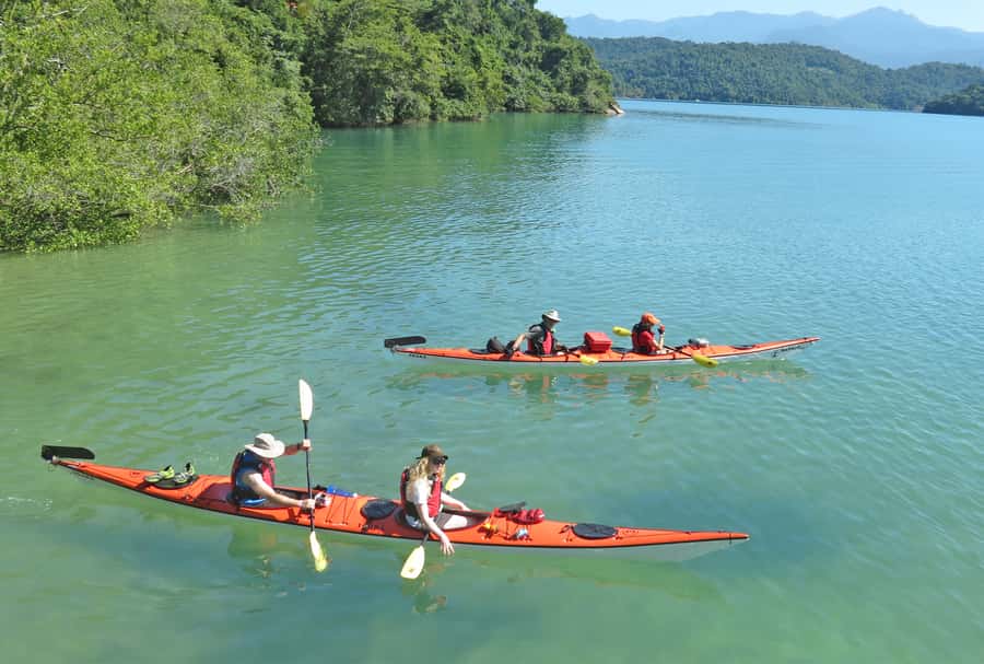Paraty Bay: Half-Day Mangroves and Beaches Tour by Kayak - Returning Through the Mangroves: The Red-Crab Moment and the Tide Reality