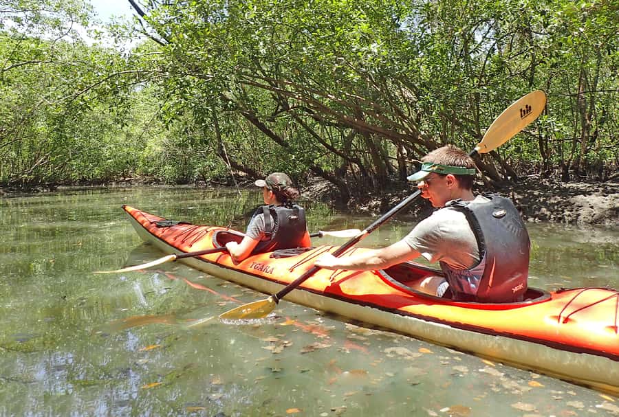 Paraty Bay: Half-Day Mangroves and Beaches Tour by Kayak - Meeting at Pontal Beach: Where the Tour Starts and What to Watch For