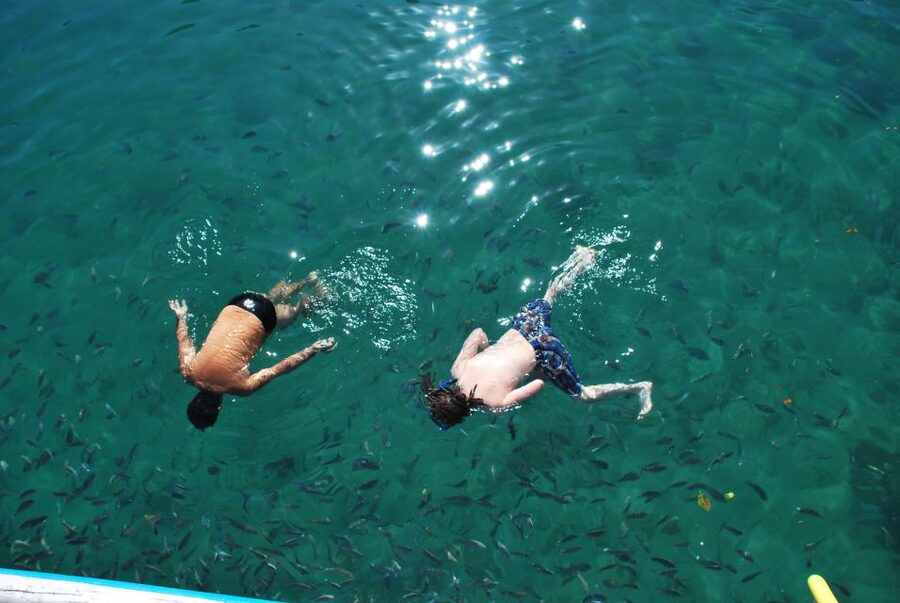 Paraty Bay: Islands & Beaches Boat Tour with Snorkeling - What snorkeling is really like here, and when you might want a different tour