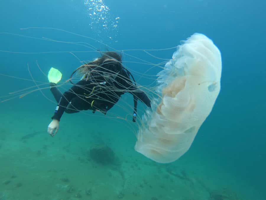 Paraty: Discovery Scuba Diving Experience for Beginners - What to bring, and what not to forget
