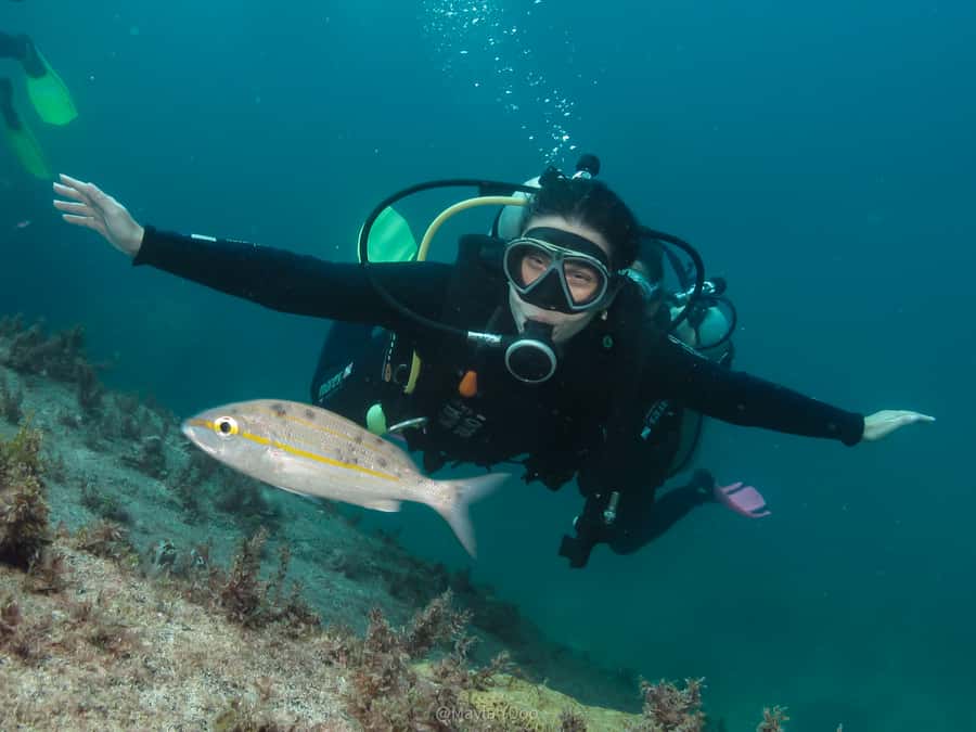 Paraty: Discovery Scuba Diving Experience for Beginners - Paraty’s calm, clear conditions make a great start