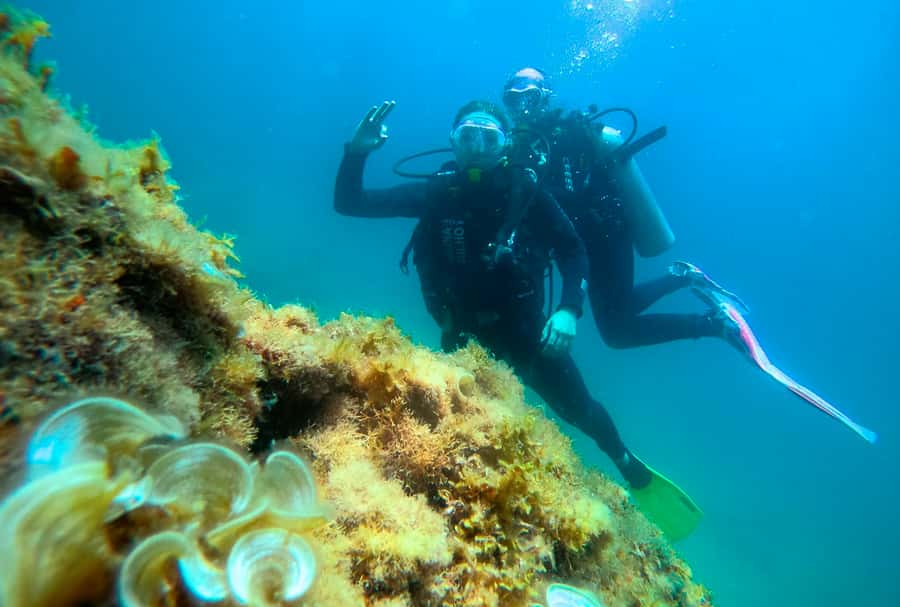Paraty: Discovery Scuba Diving Experience for Beginners - Safety first: your boat-ride briefing before you go under