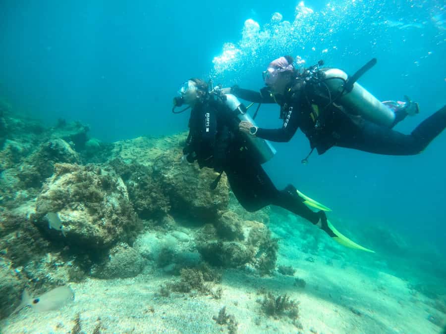 Paraty: Discovery Scuba Diving Experience for Beginners - Group flow and language: how to avoid feeling left out