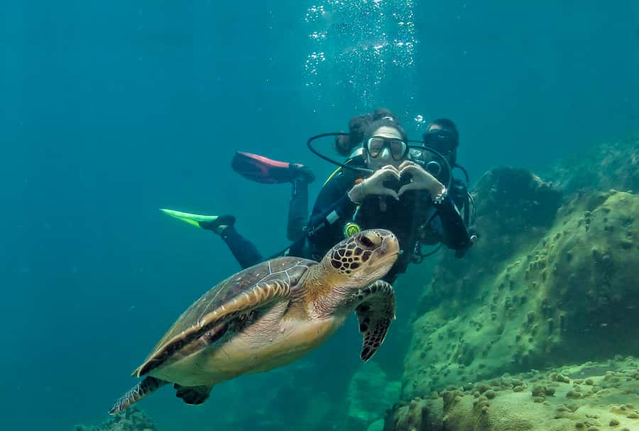 Paraty: Discovery Scuba Diving Experience for Beginners - The 5 hours: what the schedule feels like in real life
