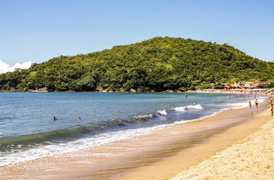Paraty Forest Hike and Beach Snorkel: Full-Day Tour - Why Trindade and a Rainforest Hike Make Sense Together