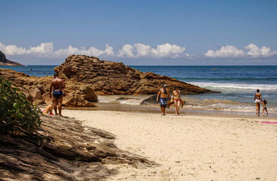 Paraty Forest Hike and Beach Snorkel: Full-Day Tour - Cepilho Beach Photo Stop, Then the Trek Begins