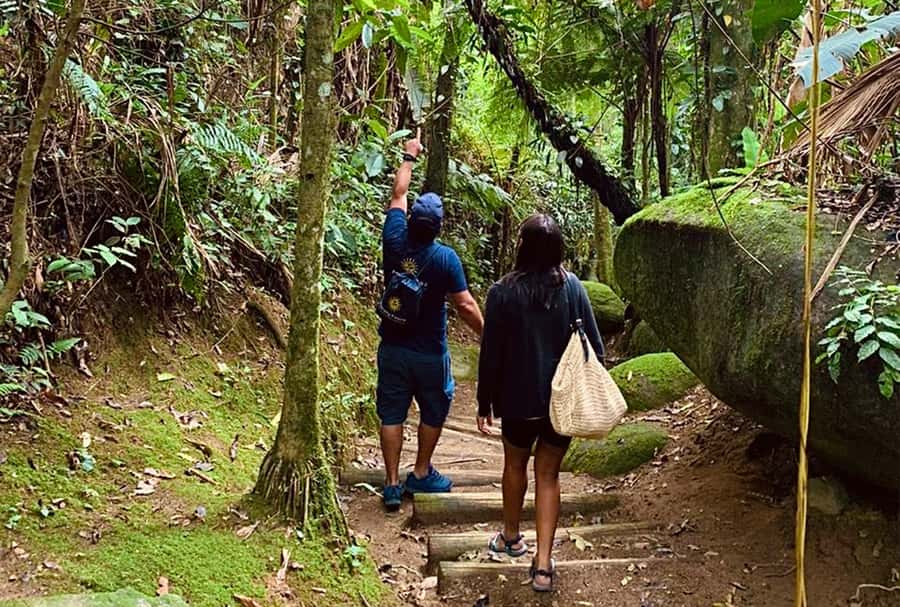 Paraty: Gold Trail Rainforest Hiking Tour - The 3-Hour Time Plan, and Why the Short Duration Works
