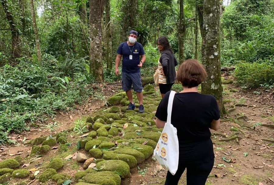 Paraty: Gold Trail Rainforest Hiking Tour - Following the Gold Trail: The 3.6 km Walk That Connects Paraty to Diamantina