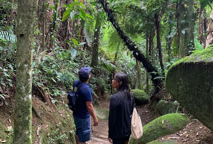 Paraty: Gold Trail Rainforest Hiking Tour - Slavery, Gold Digging, and Tropeiros: History You Can Feel on the Trail
