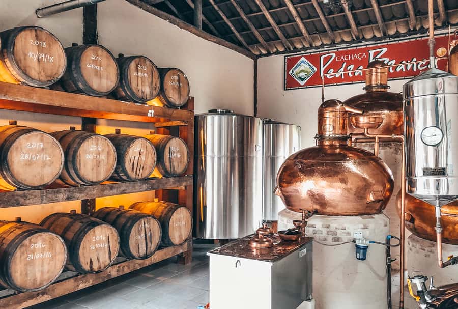 Paraty: Jungle Waterfalls and Cachaça Distillery Jeep Tour - What to Bring for Jungle Waterfalls and Cold-Water Pools