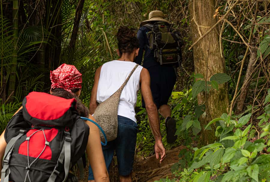 Paraty: Pão de Açucar Peak Trekking and Hiking Tour - What to Pack and How to Prepare for a Steep Hike