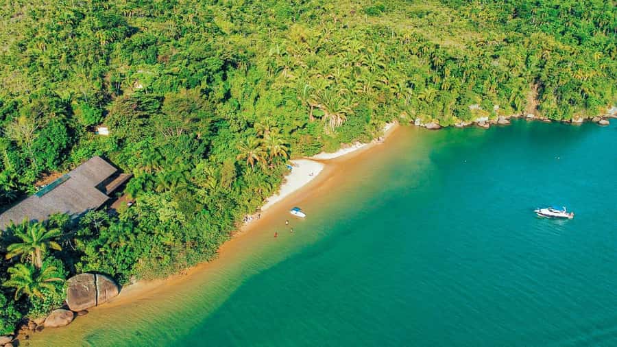 Paraty: Saco do Mamanguá Speedboat Tour - Key highlights worth showing up for