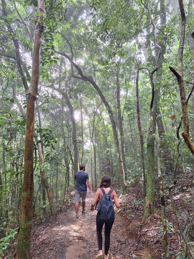 Pedra Bonita Trail: The easiest trail with a beautiful view of Rio - Key Things That Make Pedra Bonita Worth It
