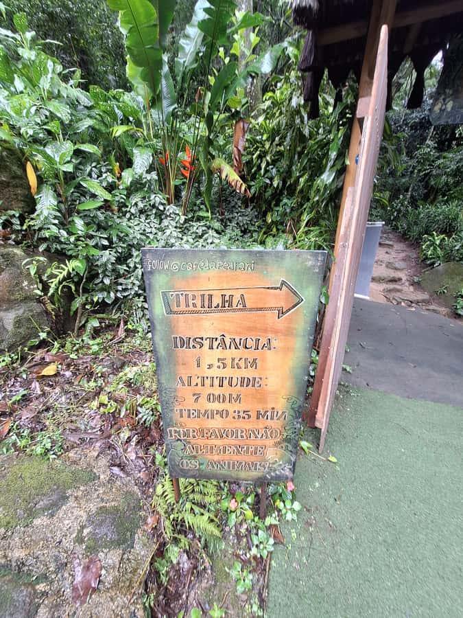 Pedra Bonita Trail: The easiest trail with a beautiful view of Rio - Snack Bar Timing, Water, and Energy Without Overthinking