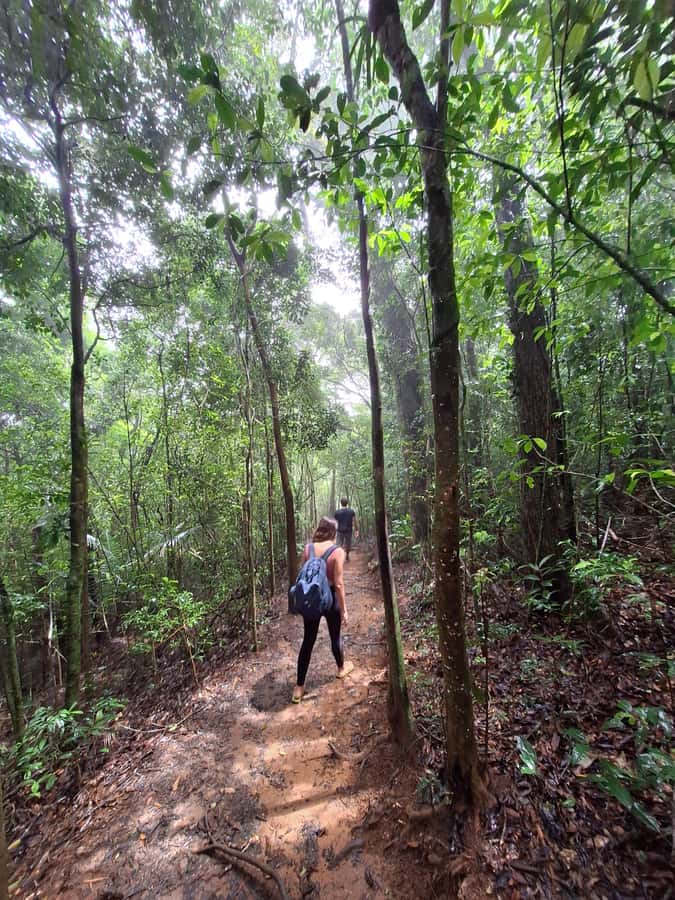 Pedra Bonita Trail: The easiest trail with a beautiful view of Rio - Getting There: The Part You Should Not Ignore