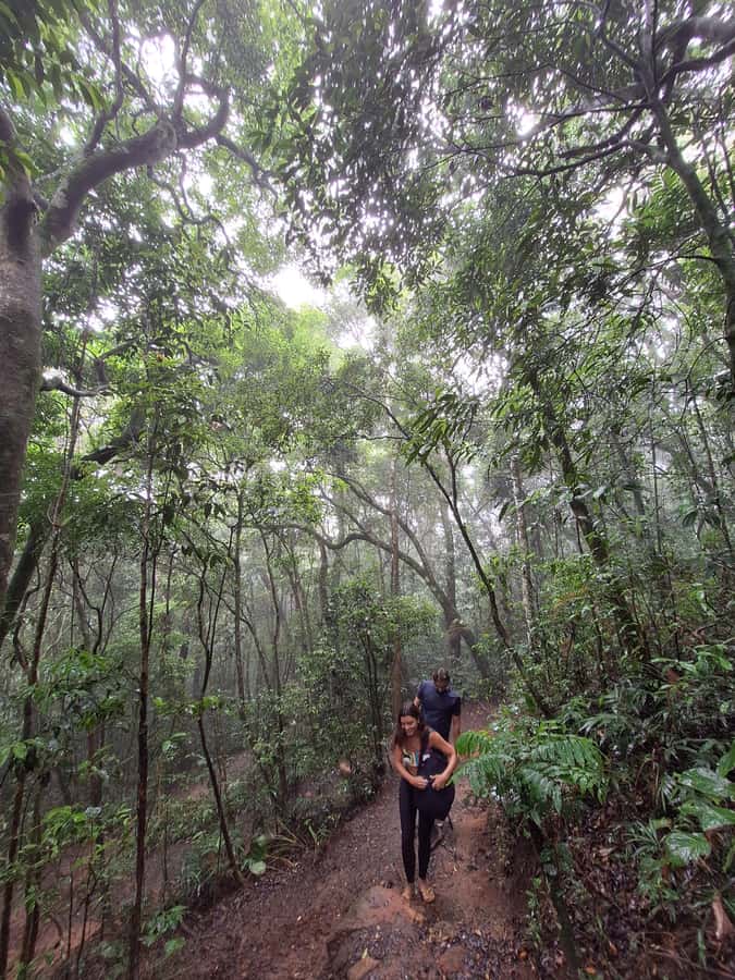 Pedra Bonita Trail: The easiest trail with a beautiful view of Rio - Itineraries That Move, Without Dragging