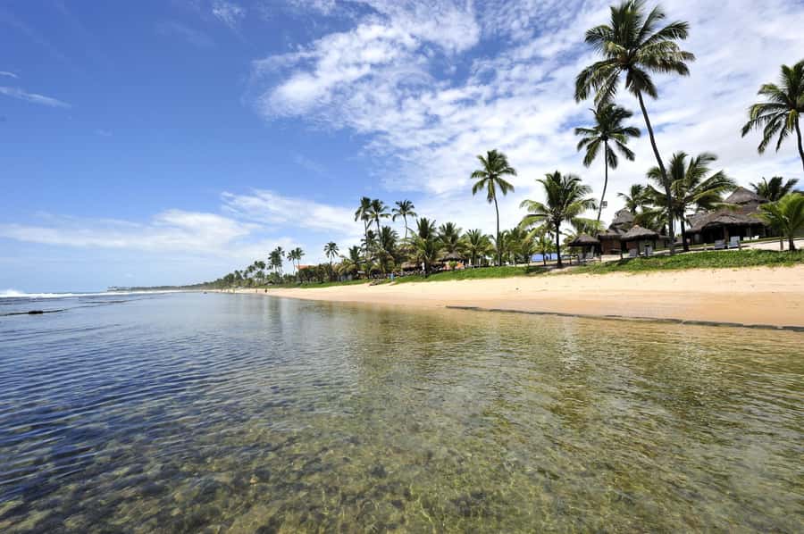 Porto Galinhas Full Day Tour - Key highlights that make this tour worth your time
