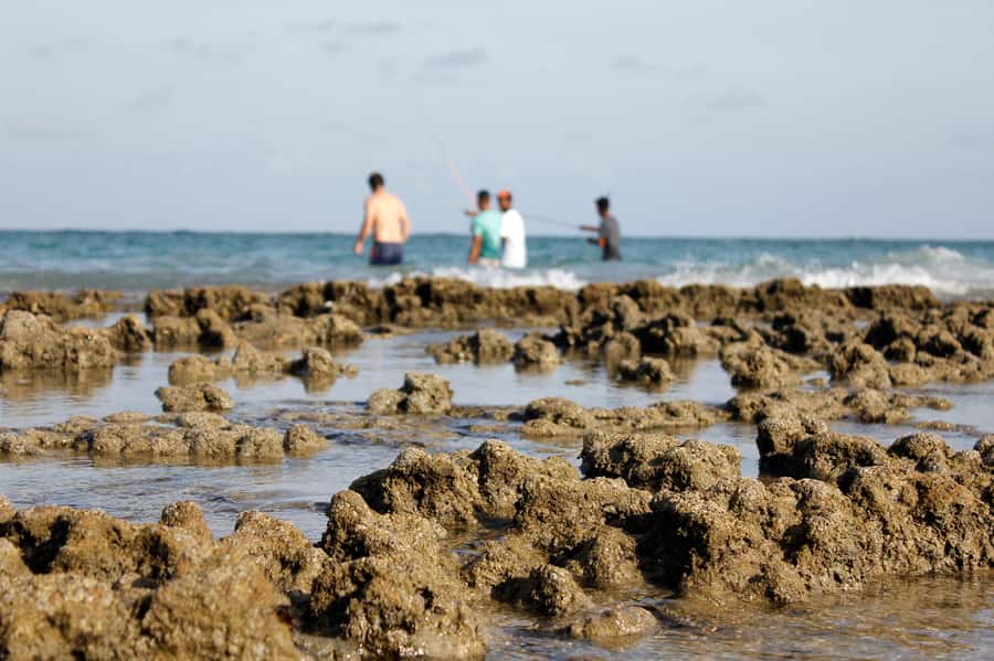 Porto Galinhas Full Day Tour - Porto de Galinhas Natural Pools: The Real Reason This Day Feels Special