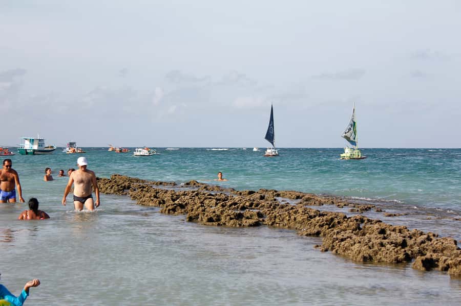 Porto Galinhas Full Day Tour - Guide Support You’ll Actually Notice (Especially If You Speak Spanish or Portuguese)