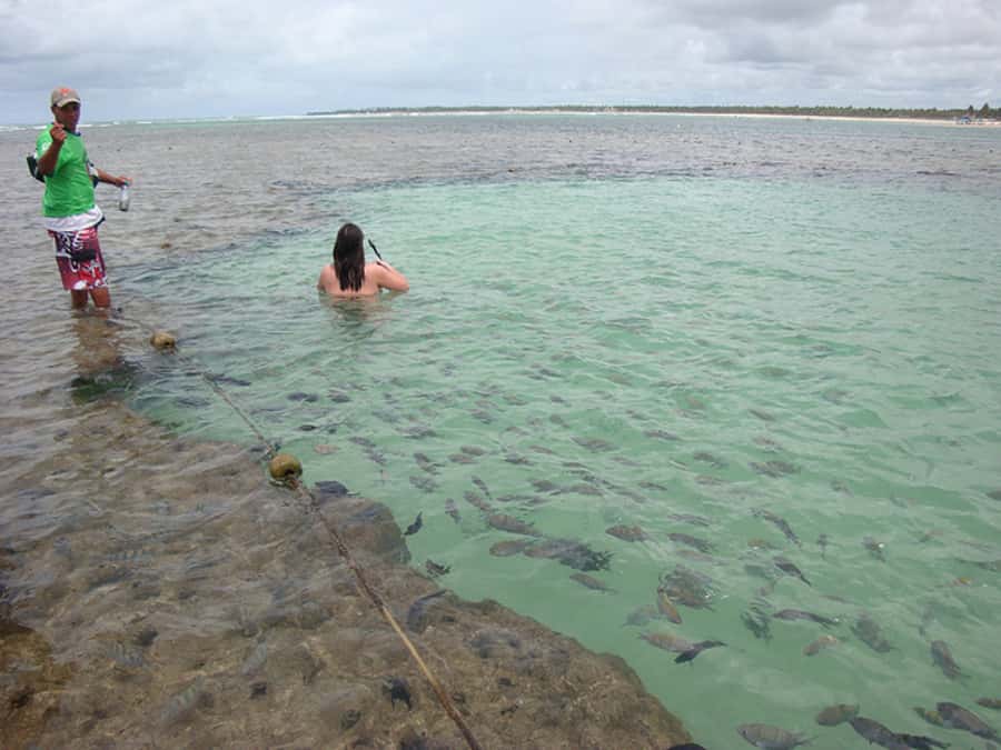 Porto Galinhas Full Day Tour - South Atlantic Ocean Time: Where the Scenery Changes Mid-Day