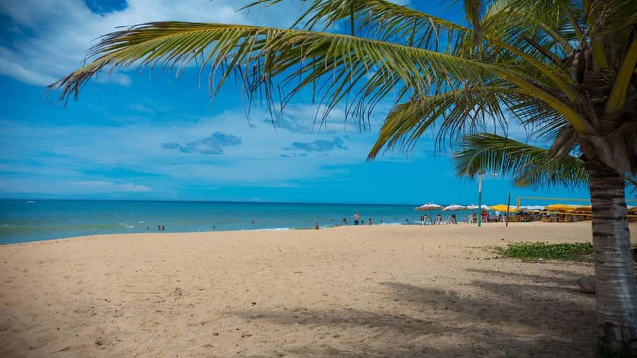 Porto Seguro: Trancoso Day Trip with Beach and Quadrado - Hotel pickup and the van ride: how the day starts