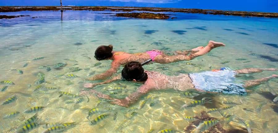 Praia de Paripueira Beach Day Tour - Key highlights that matter before you go