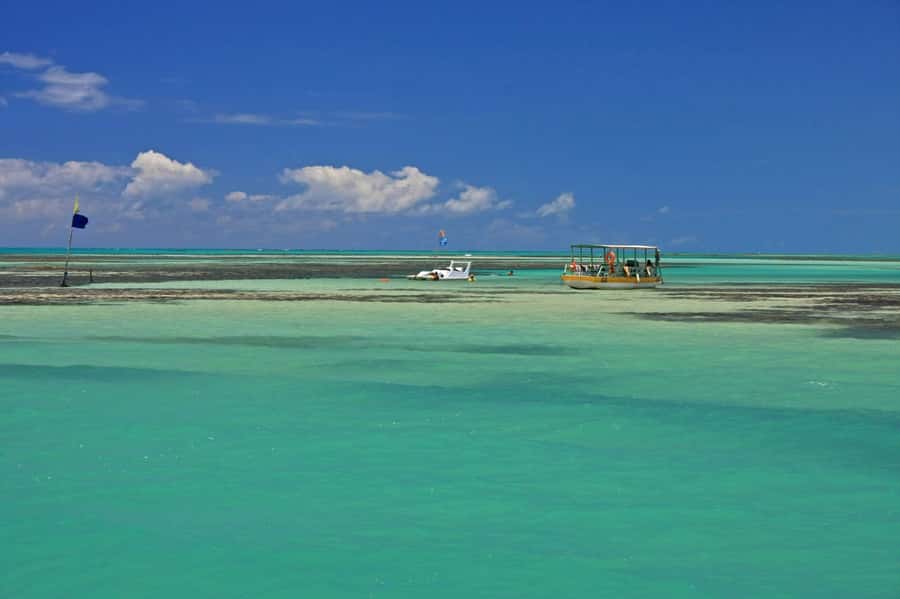 Praia de Paripueira Beach Day Tour - Why Paripueira Works for a Relaxed Beach Day