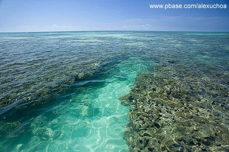 Praia de Paripueira Beach Day Tour - Price and Logistics: Does $107 Really Add Up?