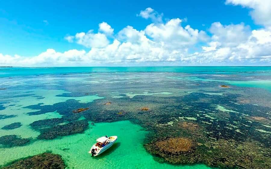 Praia de Paripueira Beach Day Tour - Getting There From Maceió, and How the Day Actually Flows