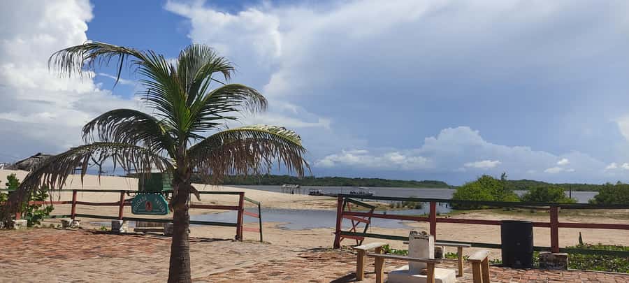 Preguicas River Speedboat Tour - Guide in Portuguese: What the Best Moments Depend On