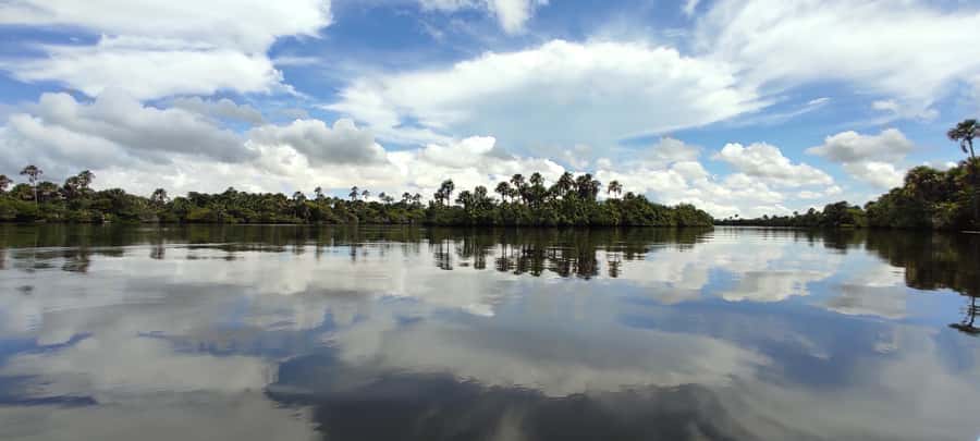 Preguicas River Speedboat Tour - Price and Value: Is $35 Fair for a 5-Hour River Adventure?