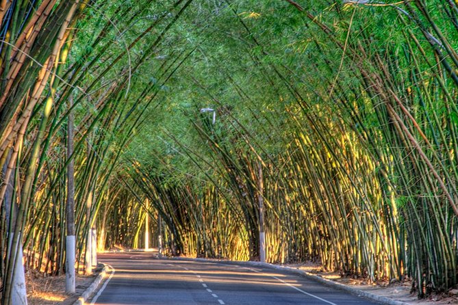 Private Airport Transfer to Salvador - From SSA Arrivals To Your Door, Without the City Hassle