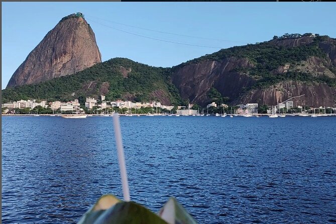Private and Customizable Tour in Rio de Janeiro - Feira de São Cristóvão and Vista Chinesa for Rio beyond the postcards